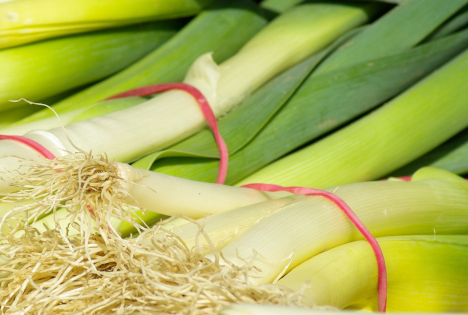 Niedersachsen: Anbau von Porree als saisonales Wintergemüse gewinnt an Bedeutung