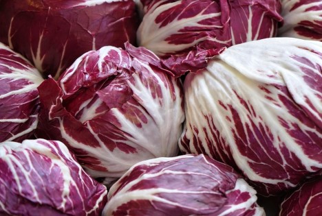 Europas teuerster Chicorée: Italienischer Radicchio erzielt bis zu 30 Euro pro Kilogramm