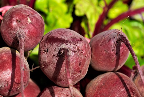 Polen: Die diesjährige Saison von Roter Bete beginnt mit hohen Preisen