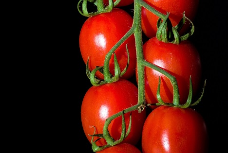 BLE: Selbstversorgungsgrad bei Obst und Gemüse in Deutschland