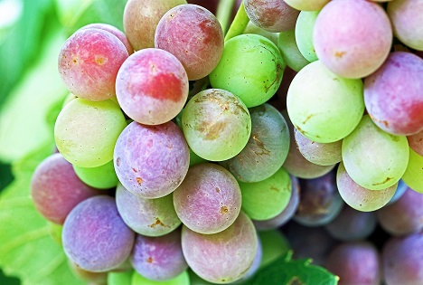 El Niño gefährdet die Obstproduktion in Brasilien