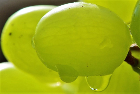 Das Interesse war infolge der Osterferien eingeschränkt, doch die Notierungen blieben stabil