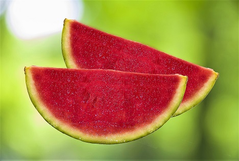 Melonen- und Wassermelonensaison in Almería geht zu Ende