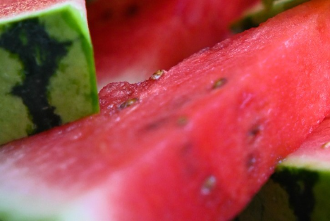FEPEX: Spanische Kampagne „Die frühste europäische Wassermelone. Mit viel Geschmack“ soll Konsum anregen