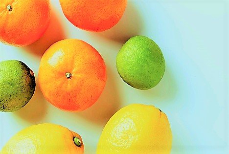 WCO-Prognose Nordhalbkugel: Zitrusproduktion sinkt um 1,51%