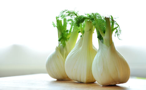 Fenchel