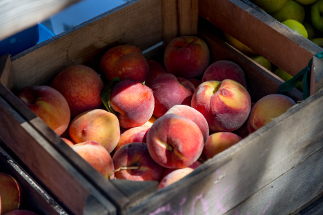 Kollision auf dem Markt für Frühpfirsiche – niedrige Preise