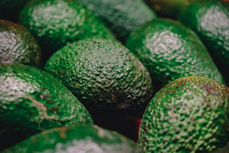 Andalusische Avocado-Exporte: Anstieg der Menge um 19 %