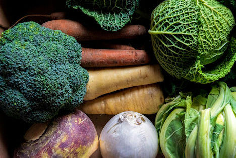 Mehr Gemüse aus ökologischem Anbau produziert