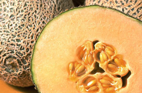 Spanien hat im Melonenanbau Einnahmen von 13.931 EUR pro Hektar