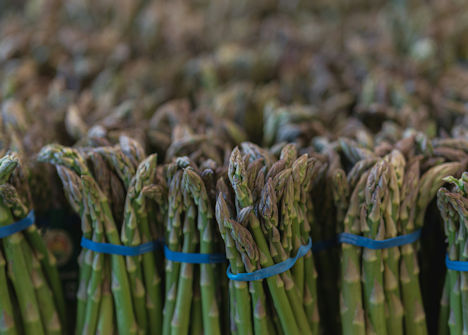 Spargel grün