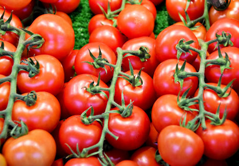 Niederlande: Großhandelspreis für Tomaten ist Mitte März immer noch niedrig