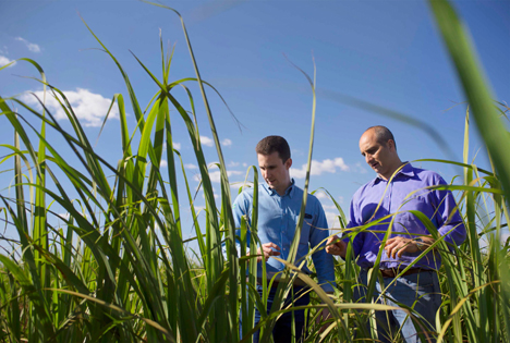 Foto © Bayer AG