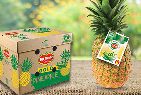 Foto © Del-Monte-Gold®-Ananas