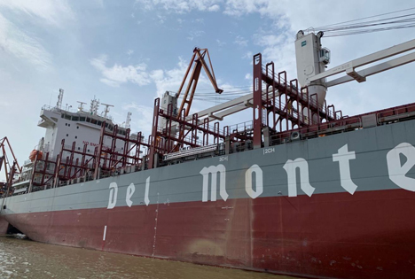 Fresh Del Monte baut seine Logistikdienste aus