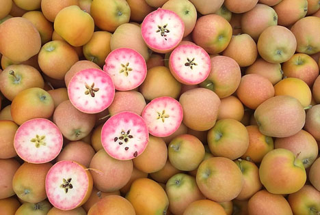 Kissabel®: Das neue rotfleischige Apfelsortiment ist wieder auf der Fruit Attraction vertreten