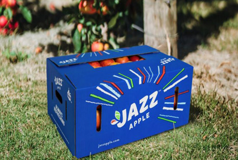 Foto © T&G Unternehmensgruppe T and G global JAZZ™ Apfel Orchard