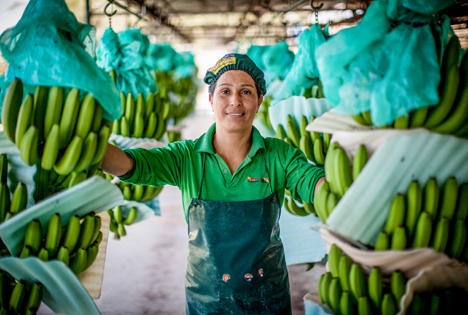 TransFair Pressebild_Peru_ Foto © Sean_Hawkey_Fairtrade 2018