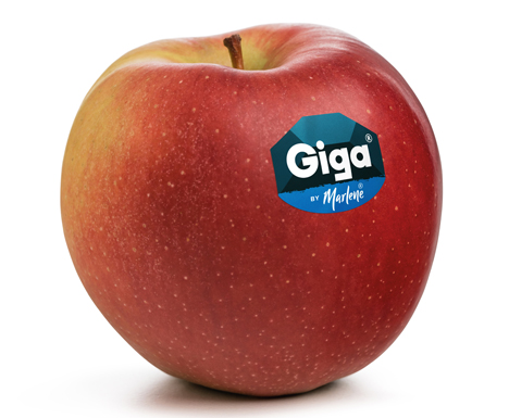 Apfel Giga® Foto © VOG