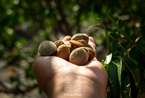 Foto ©Veracruz Almonds