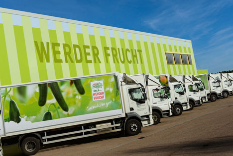 Auberginen aus Brandenburger Gartenbau