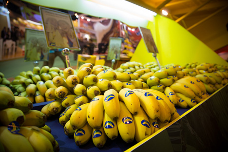 asprocan bananen © Copyright platanodecanarias