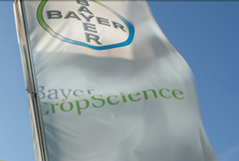 Bayer: Umsatz und Ergebnis gesteigert