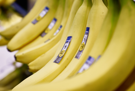 Edeka Bananen. Foto © EDEKA ZENTRALE AG & Co. KG