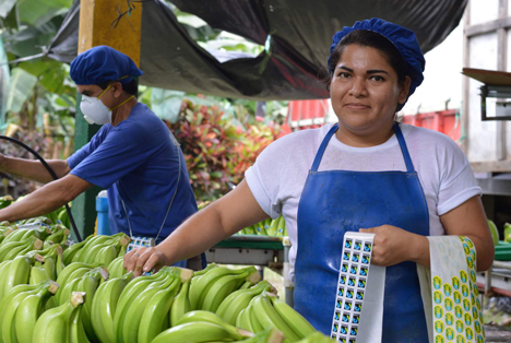 fairtrade oesterreich apr 21 2018-10-25-Bananen-Ecuador-ASOGUABO (86) Foto © fairtrade oesterreich