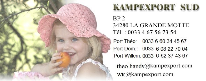 Kampexport