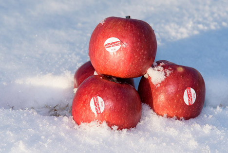 Die Crimson Snow® Familie erweitert sich mit der französischen Mesfruits