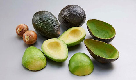 Kronen Avocado Line Processing