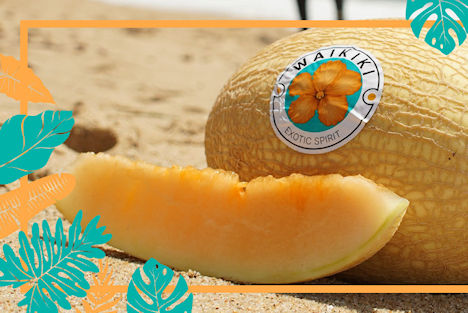 Waikiki Melone