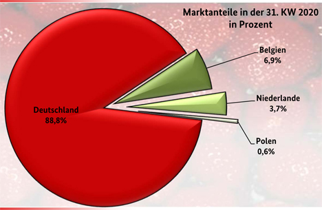 Grafik BLE-Marktbericht KW 31/ 20