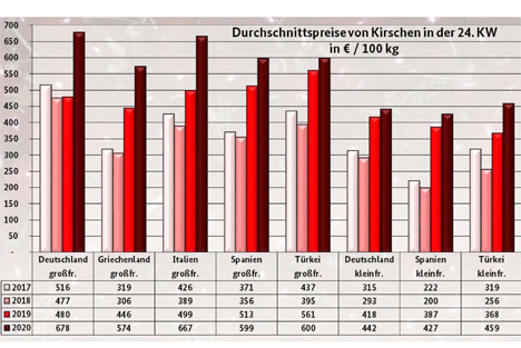 BLE-Marktbericht KW 24: Infografik - Durchschnittspreise von Kirschen