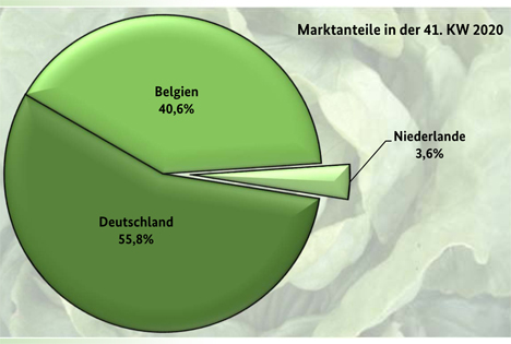 Marktanteile Kopfsalat - BLE Grafik BLE-Marktbericht KW 41/ 20