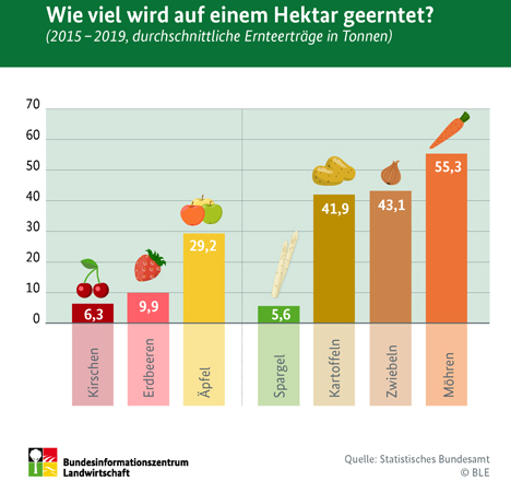 Foto © BLE Infografik