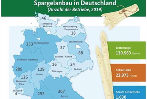 Auf einen Blick: BLE-Infografik Spargelanbau in Deutschland