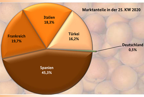 Infografik BLE-Marktbericht: Marktanteile Aprikosen in der 25. KW
