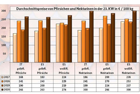 BLE-Marktbericht KW 23: Infografik - Durchschnittspreise von Pfirsichen und Nektarinen