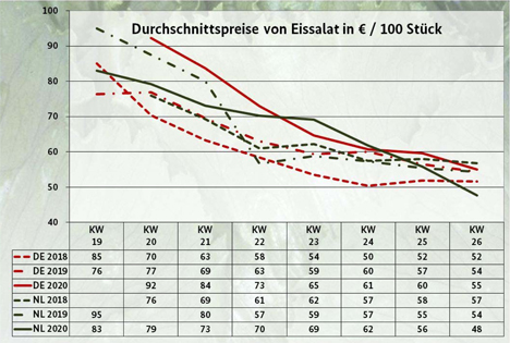 Infografik BLE-Marktbericht KW 26: Durchschnittspreise von Eissalat