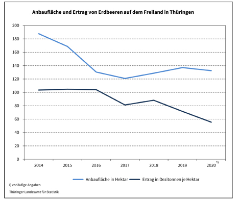 Quelle: Thüringer Landesamt für Statistik Grafik