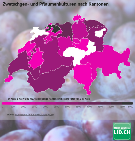 Infografik: Zwetschgen- und Pflaumenanbau in der Schweiz 2018