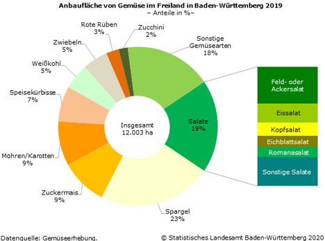 Schaubild 1: Anbau von Gemüse im Freiland in Baden-Württemberg 2019. Quelle: Statistisches Landesamt Baden-Württemberg