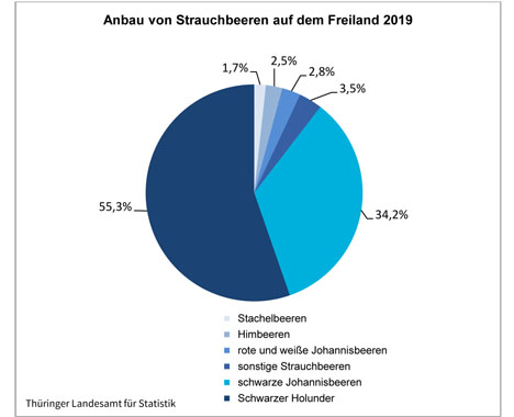 Grafik Quelle: Thüringer Landesamt für Statistik