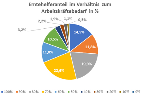 Corona-Auflagen führen zu 880 Euro an zusätzlichen Kosten pro Saisonarbeitskraft und 28 Prozent Erntehelfermangel