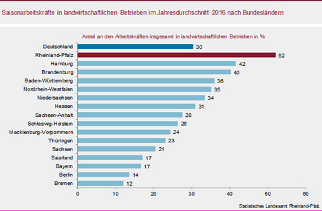 Grafik Foto © Statistisches Landesamt Rheinland-Pfalz