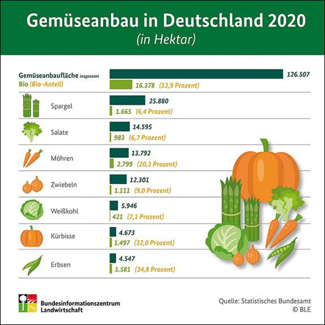 Infografik. Quelle BLE