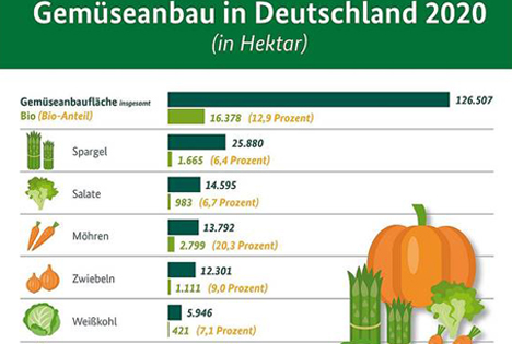 BZL Infografik: Auf einen Blick - Gemüseanbau in Deutschland 2020
