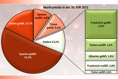 Grafik BLE-Marktbericht KW 36 Pfirsiche und Nektarinen Grafik 